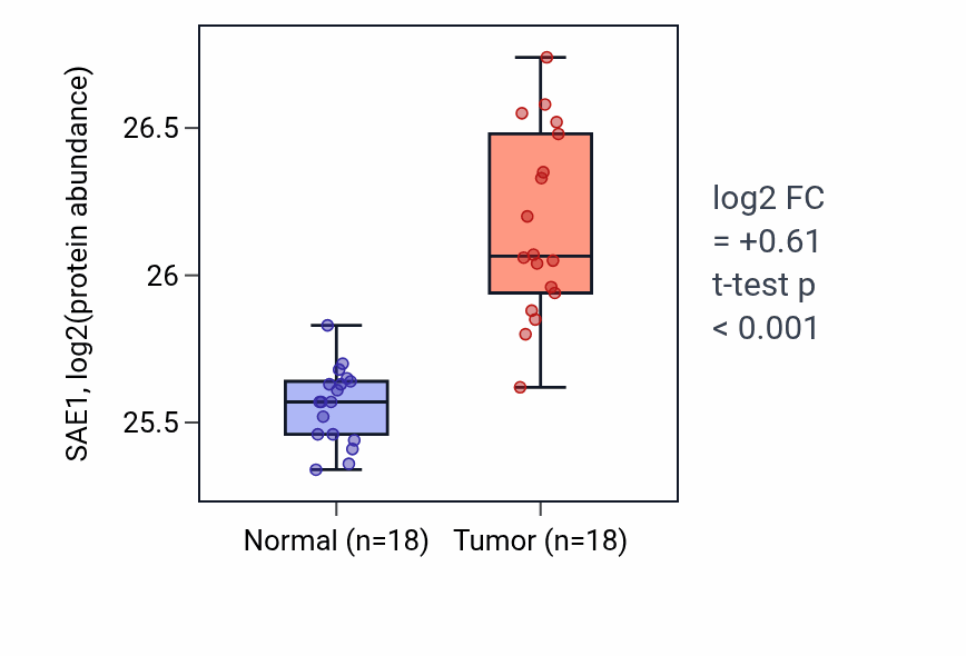 Tumor-vs-normal mass-spec protein box plot for SAE1 in COAD.