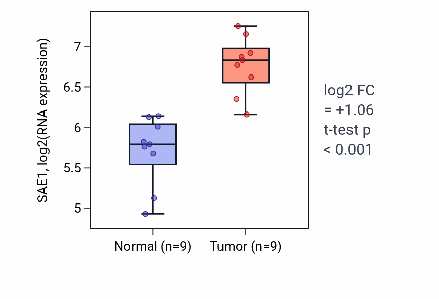 Tumor-vs-normal expression box plot for SAE1 RNA in HNSC.