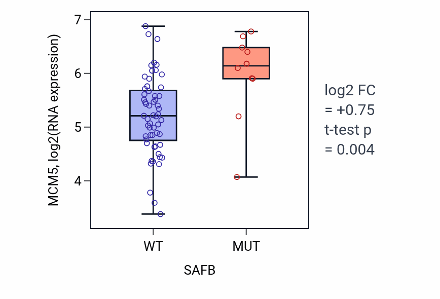 Box plot of MCM5 in SAFB-low vs SAFB-high samples in LARGE_INTESTINE.
