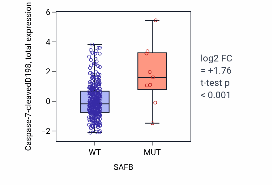 Box plot of Caspase-7-cleavedD198 in SAFB-low vs SAFB-high samples in COAD.