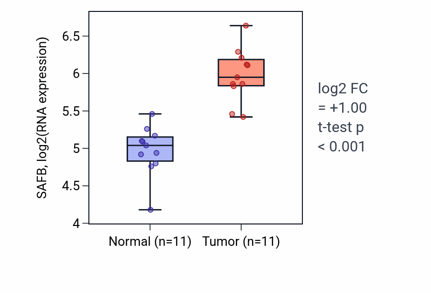 Tumor-vs-normal expression box plot for SAFB RNA in HNSC.