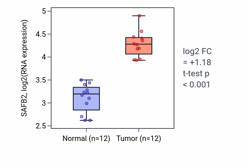 Tumor-vs-normal expression box plot for SAFB2 RNA in LIHC.