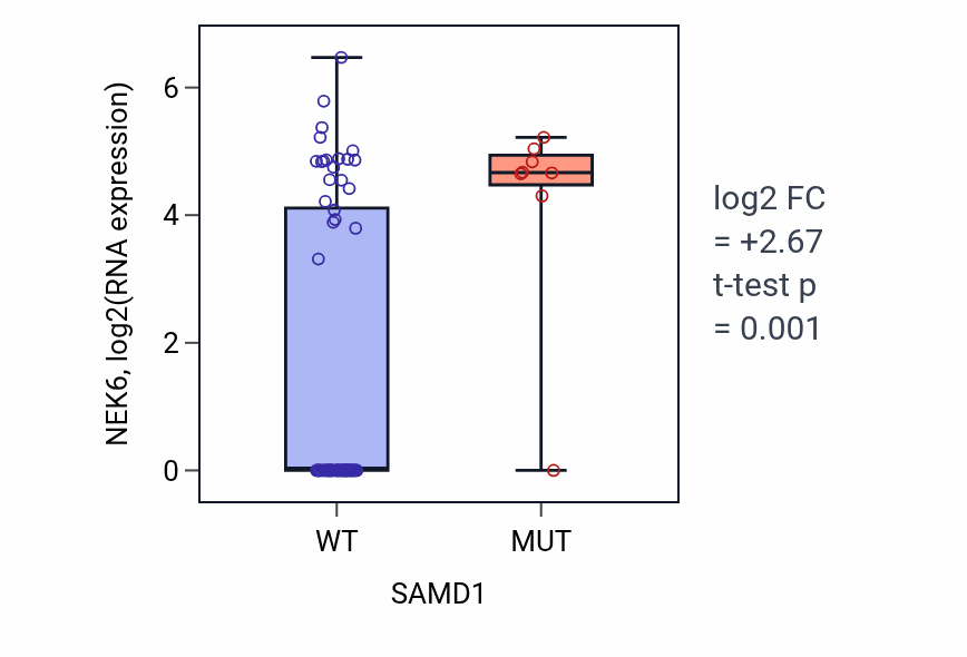 Box plot of NEK6 in SAMD1-low vs SAMD1-high samples in SCLC.