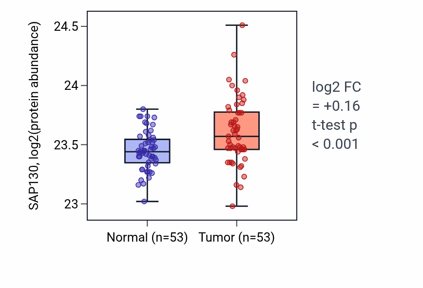 Tumor-vs-normal mass-spec protein box plot for SAP130 in HNSC.