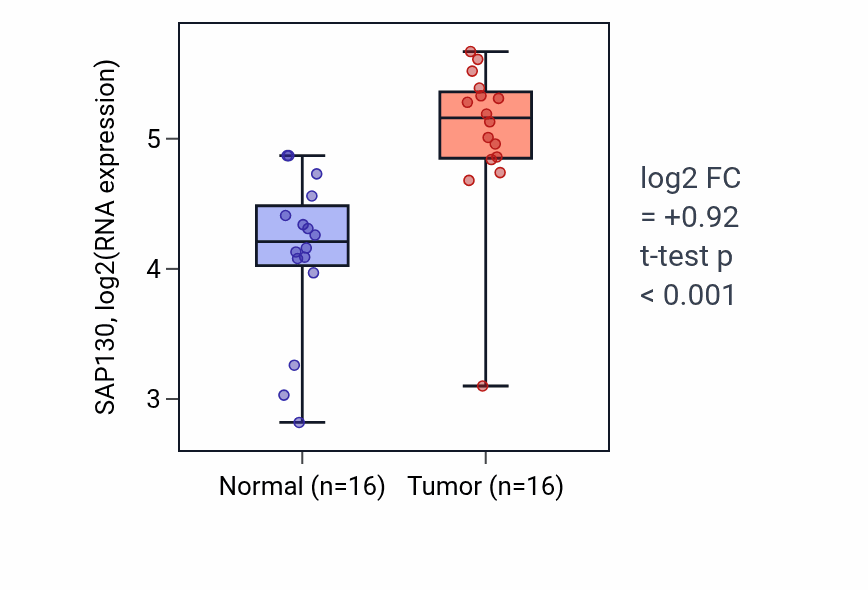 Tumor-vs-normal expression box plot for SAP130 RNA in HNSC.