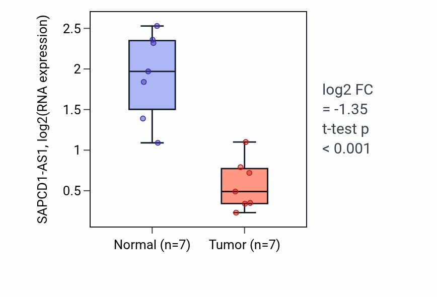 Tumor-vs-normal expression box plot for SAPCD1-AS1 in KICH.