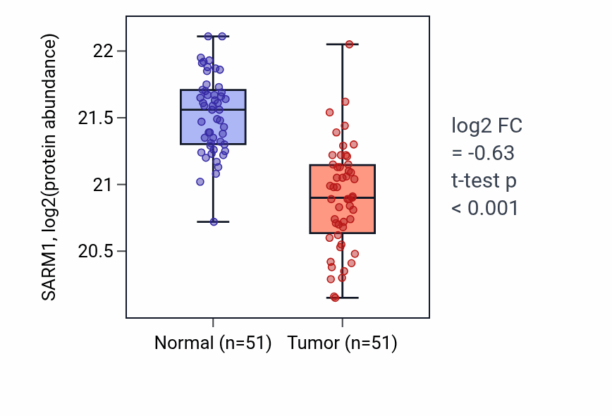 Tumor-vs-normal mass-spec protein box plot for SARM1 in COAD.