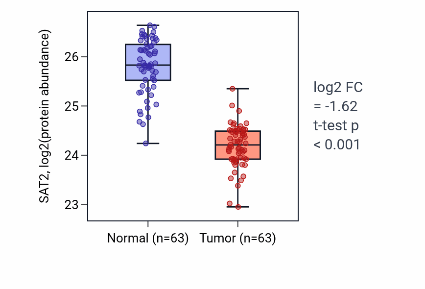 Tumor-vs-normal mass-spec protein box plot for SAT2 in CCRCC.