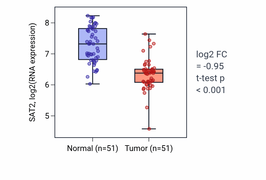 Tumor-vs-normal expression box plot for SAT2 RNA in KIRC.