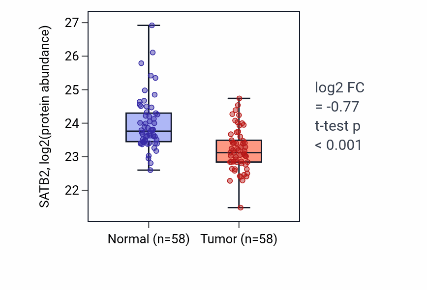 Tumor-vs-normal mass-spec protein box plot for SATB2 in LSCC.