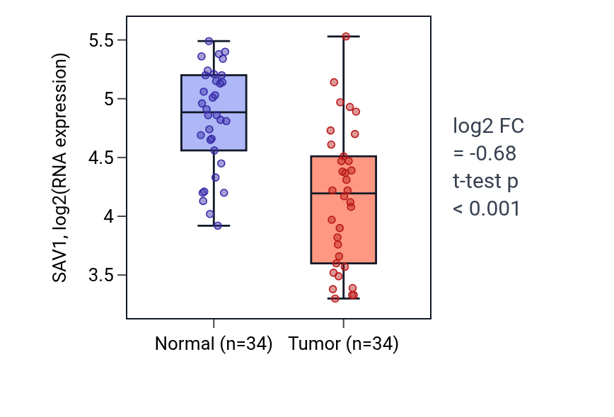 Tumor-vs-normal expression box plot for SAV1 in KIRC.
