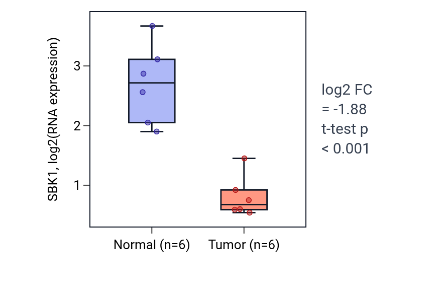 Tumor-vs-normal expression box plot for SBK1 in KIRC.