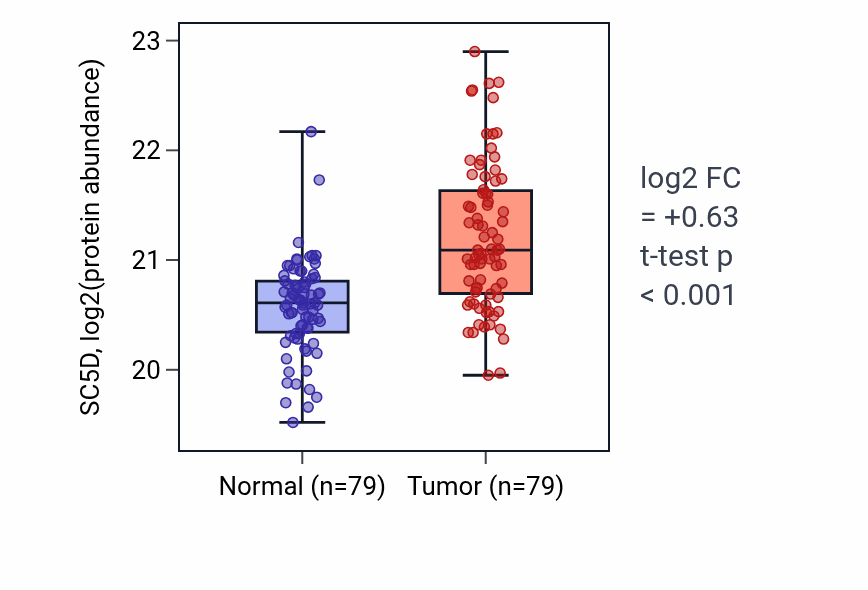 Tumor-vs-normal mass-spec protein box plot for SC5D in LSCC.