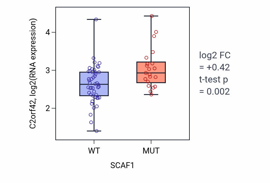 Box plot of C2orf42 in SCAF1-low vs SCAF1-high samples in LARGE_INTESTINE.