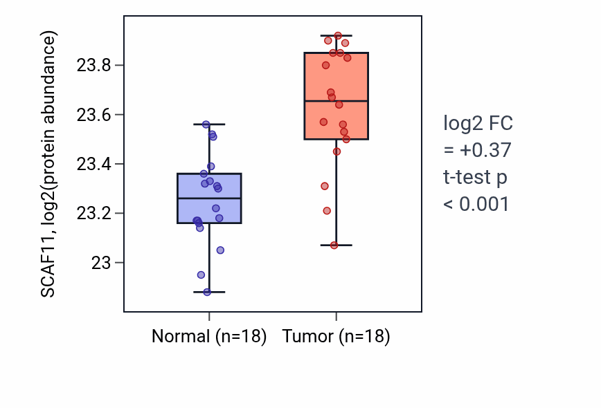 Tumor-vs-normal mass-spec protein box plot for SCAF11 in COAD.