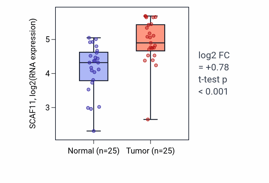 Tumor-vs-normal expression box plot for SCAF11 RNA in HNSC.