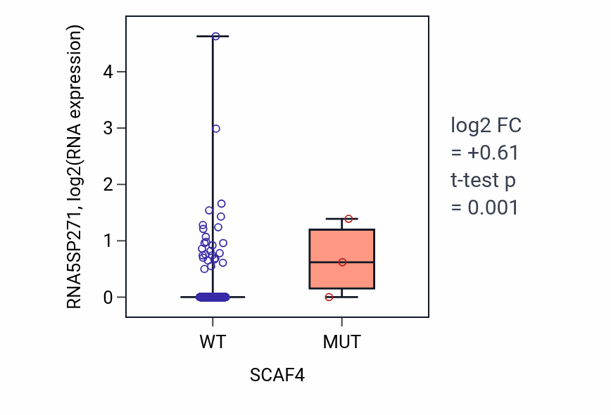Box plot of RNA5SP271 in SCAF4-low vs SCAF4-high samples in LUAD.