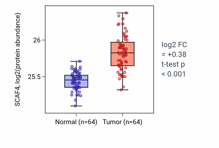 Tumor-vs-normal mass-spec protein box plot for SCAF4 in LUAD.