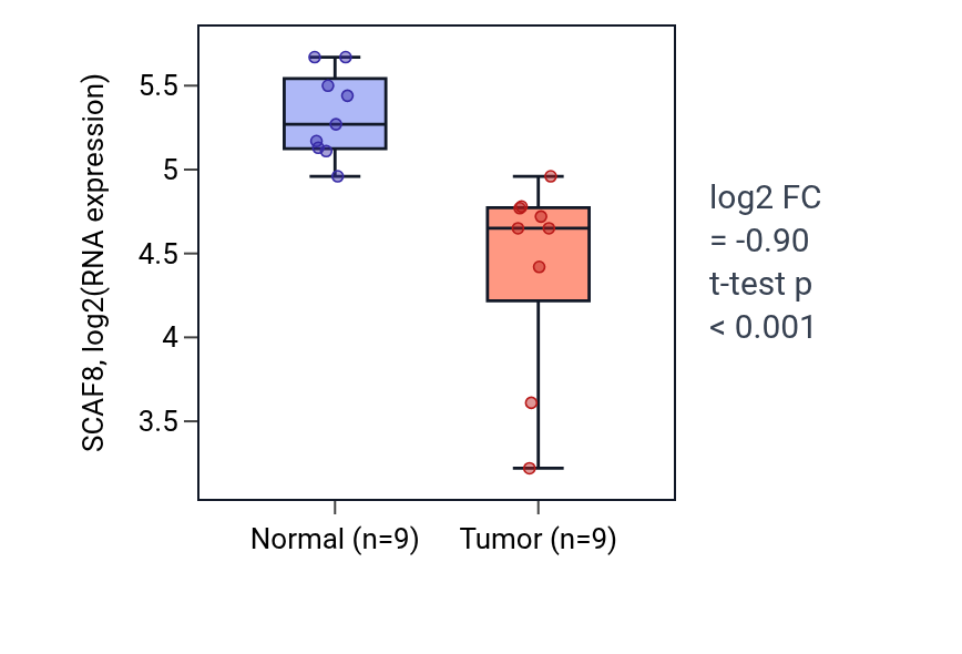 Tumor-vs-normal expression box plot for SCAF8 in THCA.