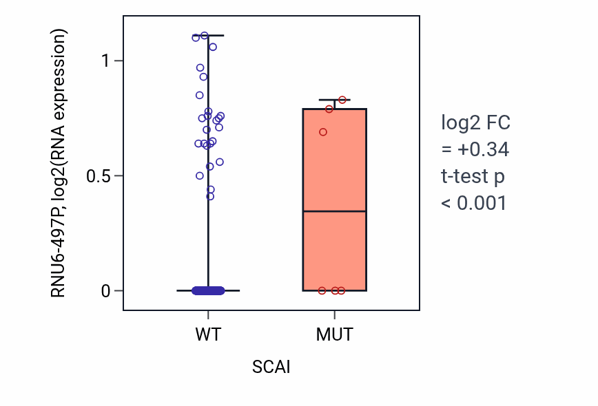 Box plot of RNU6-497P in SCAI-low vs SCAI-high samples in BLCA.