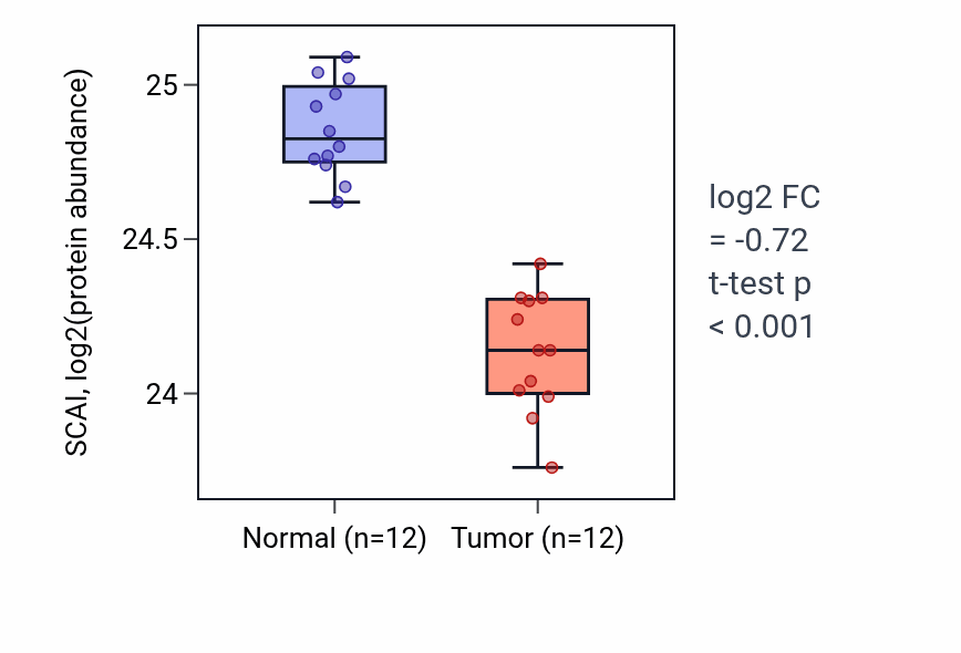 Tumor-vs-normal mass-spec protein box plot for SCAI in LUAD.