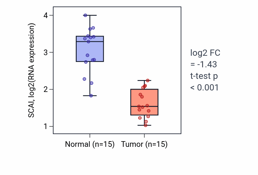 Tumor-vs-normal expression box plot for SCAI RNA in LUAD.