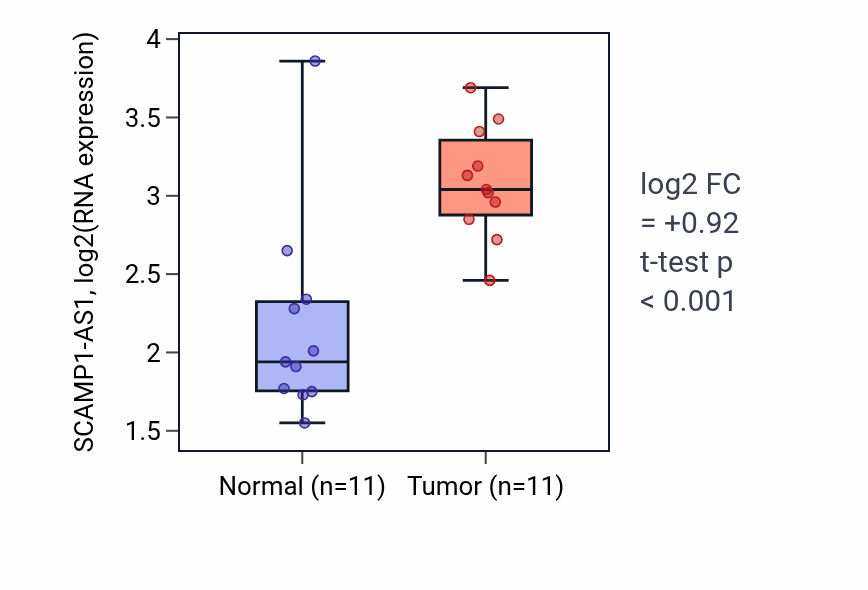 Tumor-vs-normal expression box plot for SCAMP1-AS1 in HNSC.