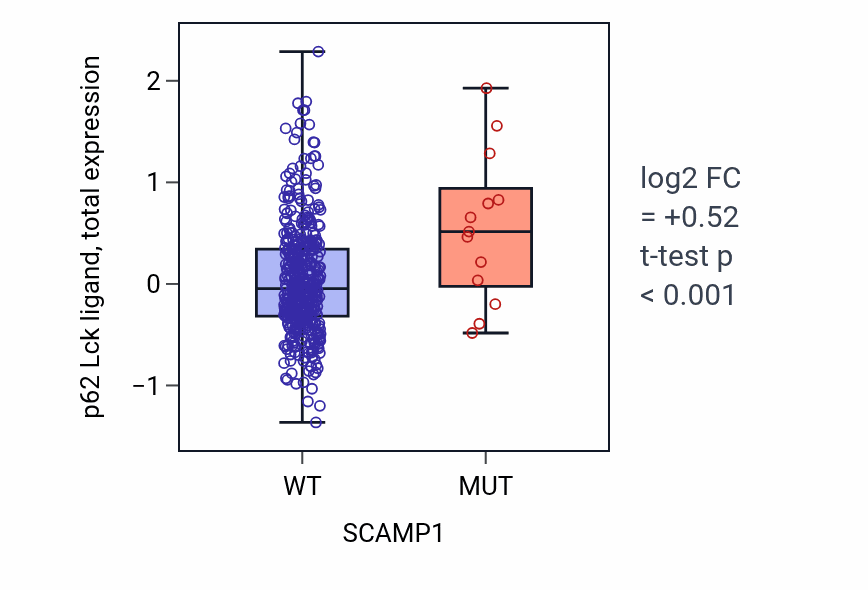 Box plot of p62 Lck ligand in SCAMP1-low vs SCAMP1-high samples in UCEC.