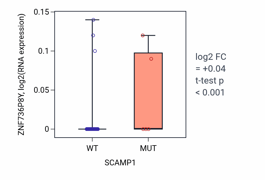 Box plot of ZNF736P8Y in SCAMP1-low vs SCAMP1-high samples in SKCM.