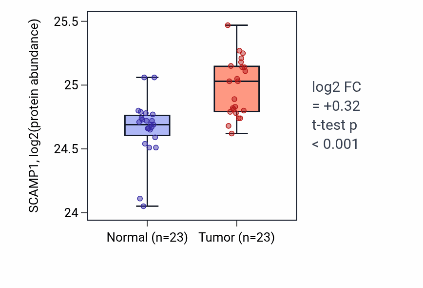 Tumor-vs-normal mass-spec protein box plot for SCAMP1 in HNSC.
