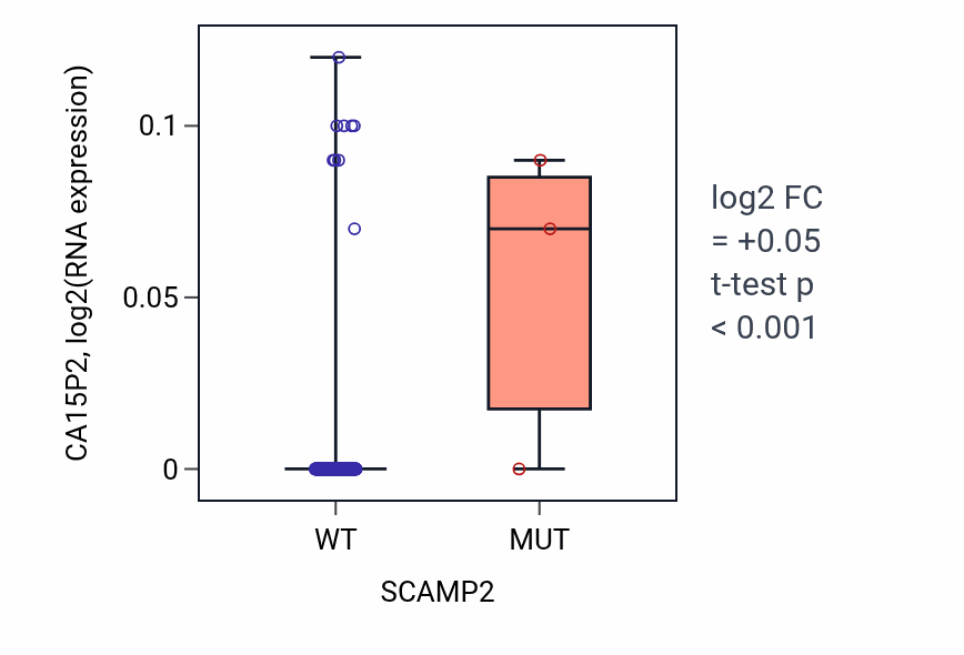 Box plot of CA15P2 in SCAMP2-low vs SCAMP2-high samples in KIRP.