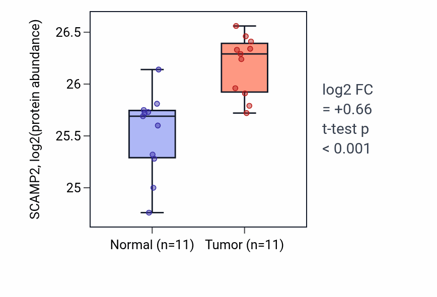 Tumor-vs-normal mass-spec protein box plot for SCAMP2 in PDAC.