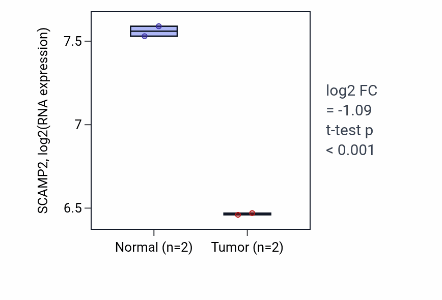 Tumor-vs-normal expression box plot for SCAMP2 RNA in COAD.