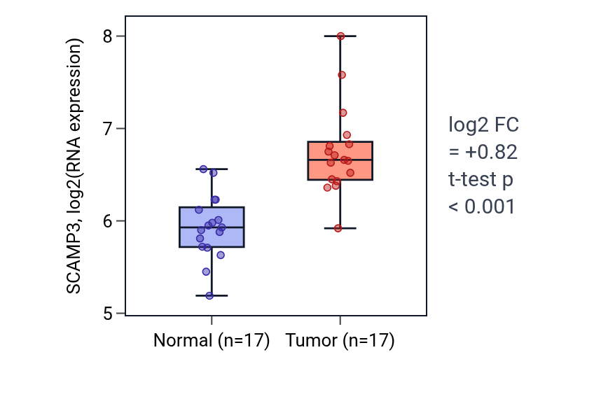 Tumor-vs-normal expression box plot for SCAMP3 in HNSC.