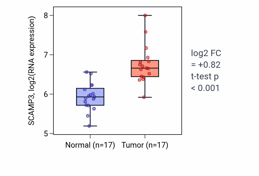 Tumor-vs-normal expression box plot for SCAMP3 RNA in HNSC.
