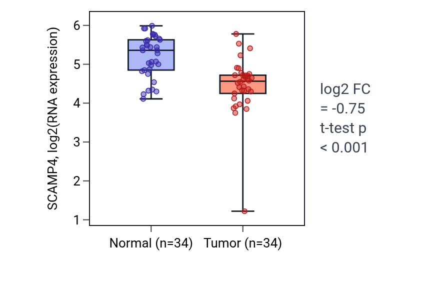 Tumor-vs-normal expression box plot for SCAMP4 in KIRC.
