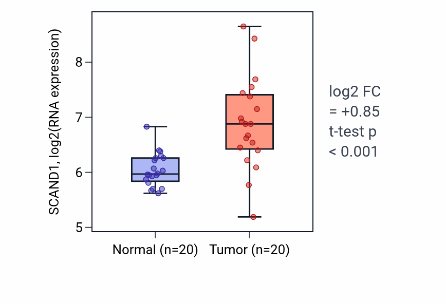 Tumor-vs-normal expression box plot for SCAND1 in COAD.