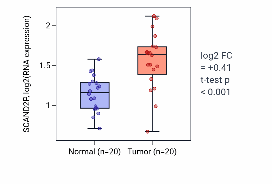Tumor-vs-normal expression box plot for SCAND2P in KIRC.