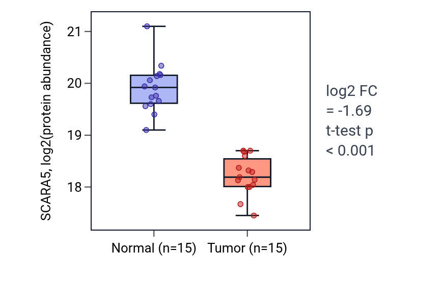 Tumor-vs-normal mass-spec protein box plot for SCARA5 in HNSC.