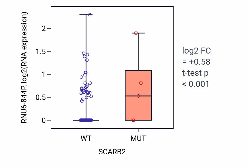 Box plot of RNU6-844P in SCARB2-low vs SCARB2-high samples in BLCA.