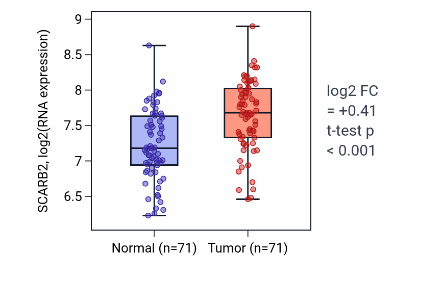 Tumor-vs-normal expression box plot for SCARB2 RNA in KIRC.