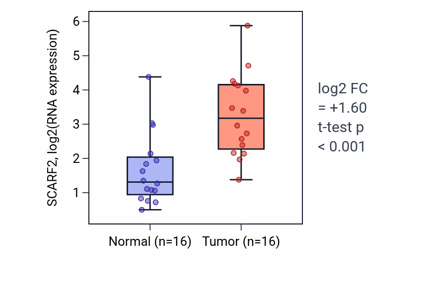 Tumor-vs-normal expression box plot for SCARF2 RNA in HNSC.