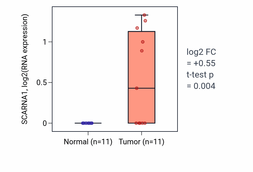 Tumor-vs-normal expression box plot for SCARNA1 in UCEC.