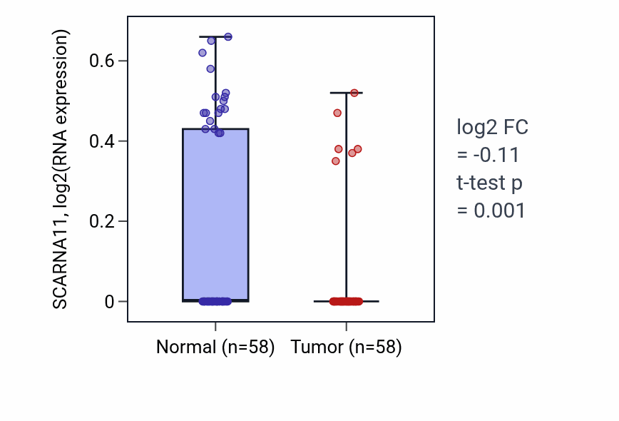 Tumor-vs-normal expression box plot for SCARNA11 in THCA.