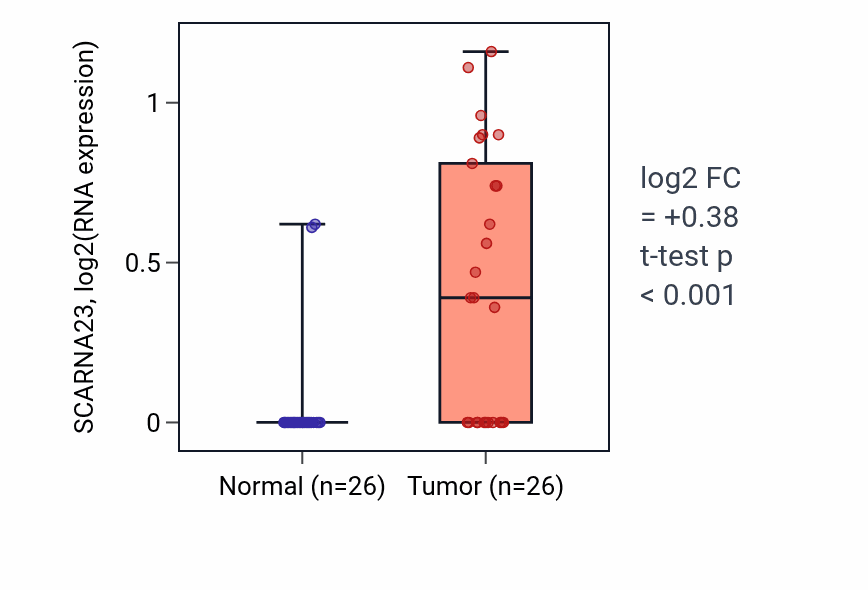 Tumor-vs-normal expression box plot for SCARNA23 in STAD.