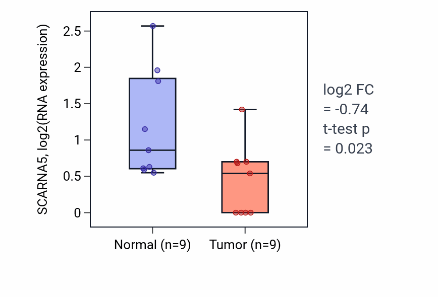 Tumor-vs-normal expression box plot for SCARNA5 in UCEC.
