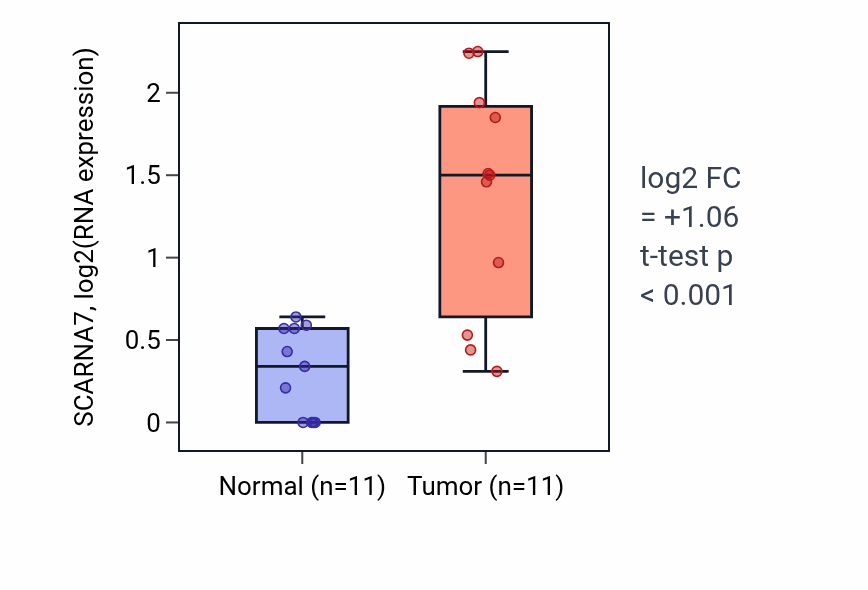 Tumor-vs-normal expression box plot for SCARNA7 in KICH.