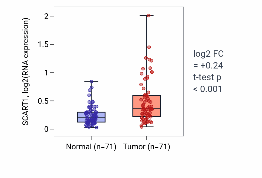 Tumor-vs-normal expression box plot for SCART1 in KIRC.