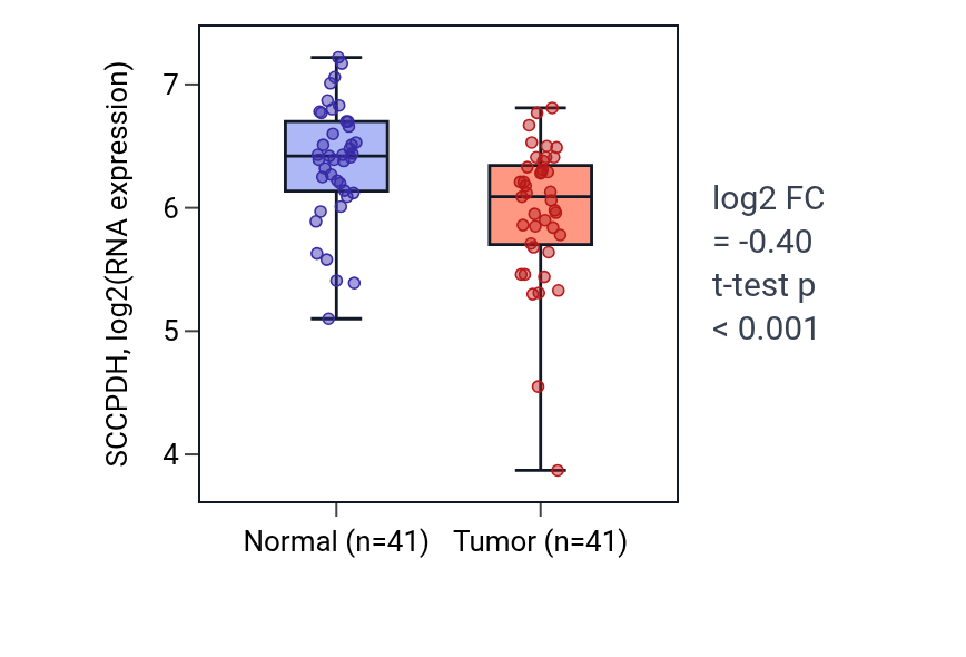 Tumor-vs-normal expression box plot for SCCPDH in THCA.