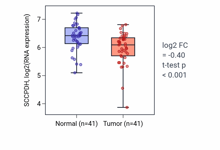 Tumor-vs-normal expression box plot for SCCPDH RNA in THCA.